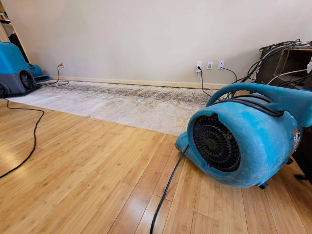 Professional Flood Damage Cleanup technician working in Reading, MA